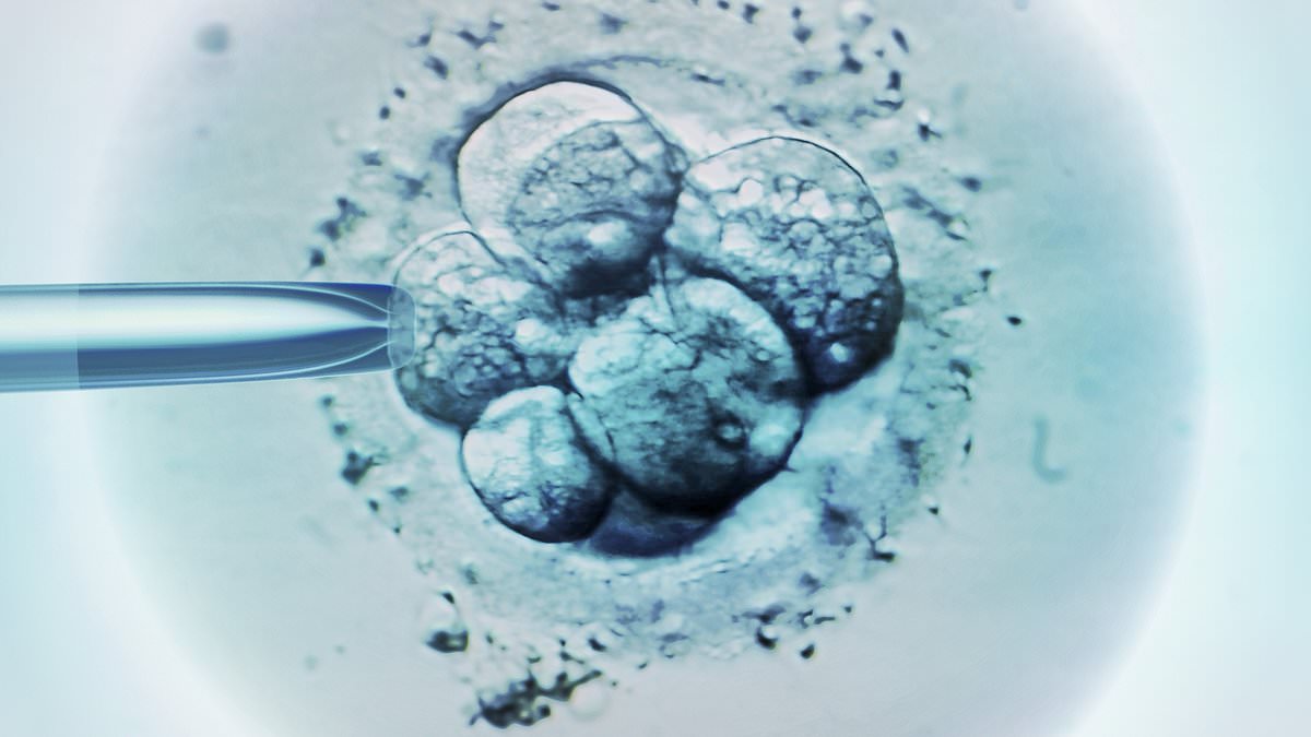 Featured image for "Revolutionary Non-Invasive Test Boosts IVF Success Rates"