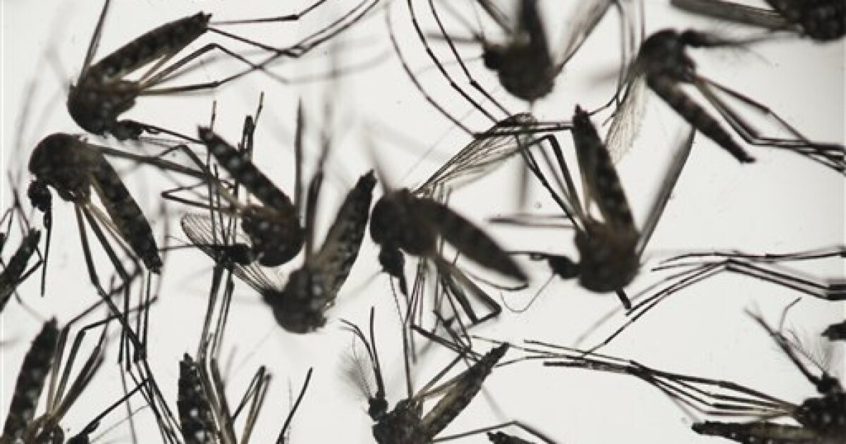 Featured image for West Nile Virus Causes First 2025 Death in Michigan