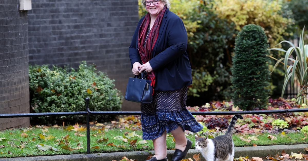 Featured image for "British Environment Minister Coffey Resigns, David Cameron Returns in Cabinet Reshuffle"