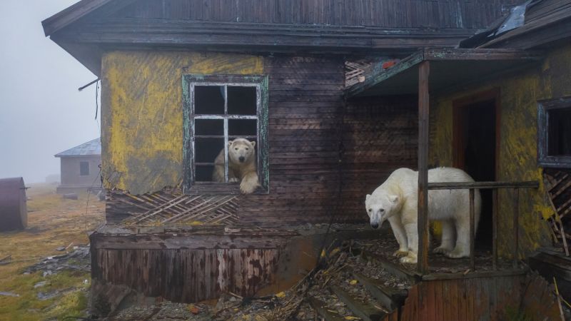 "Eye-opening photos that raised global awareness on climate change"