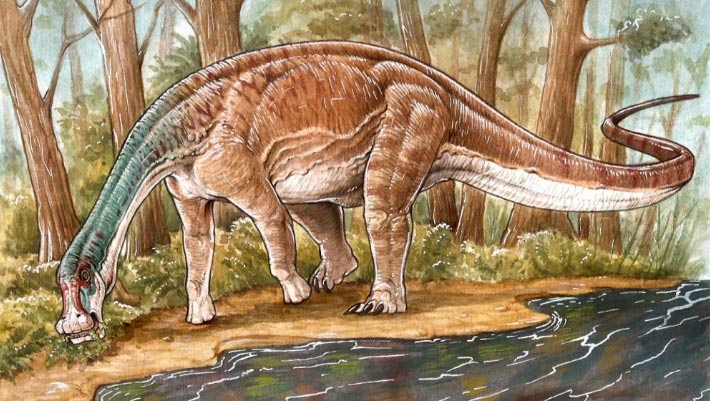 "Argentina Unveils New Cretaceous-Era Titanosaur Species"