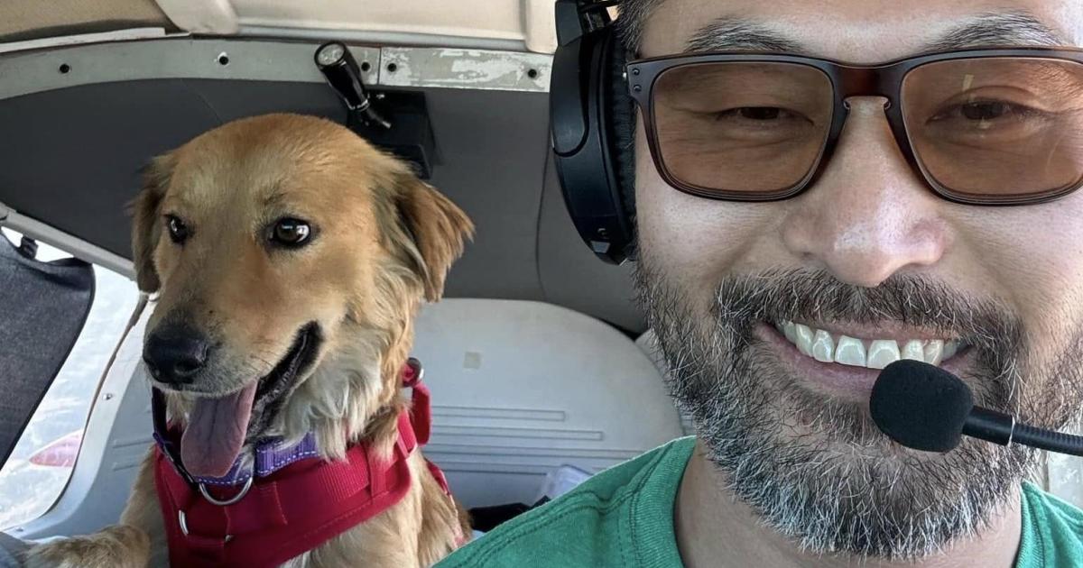 Animal Rescue Pilot and Dog Perish in Catskill Plane Crash; Two Dogs Survive