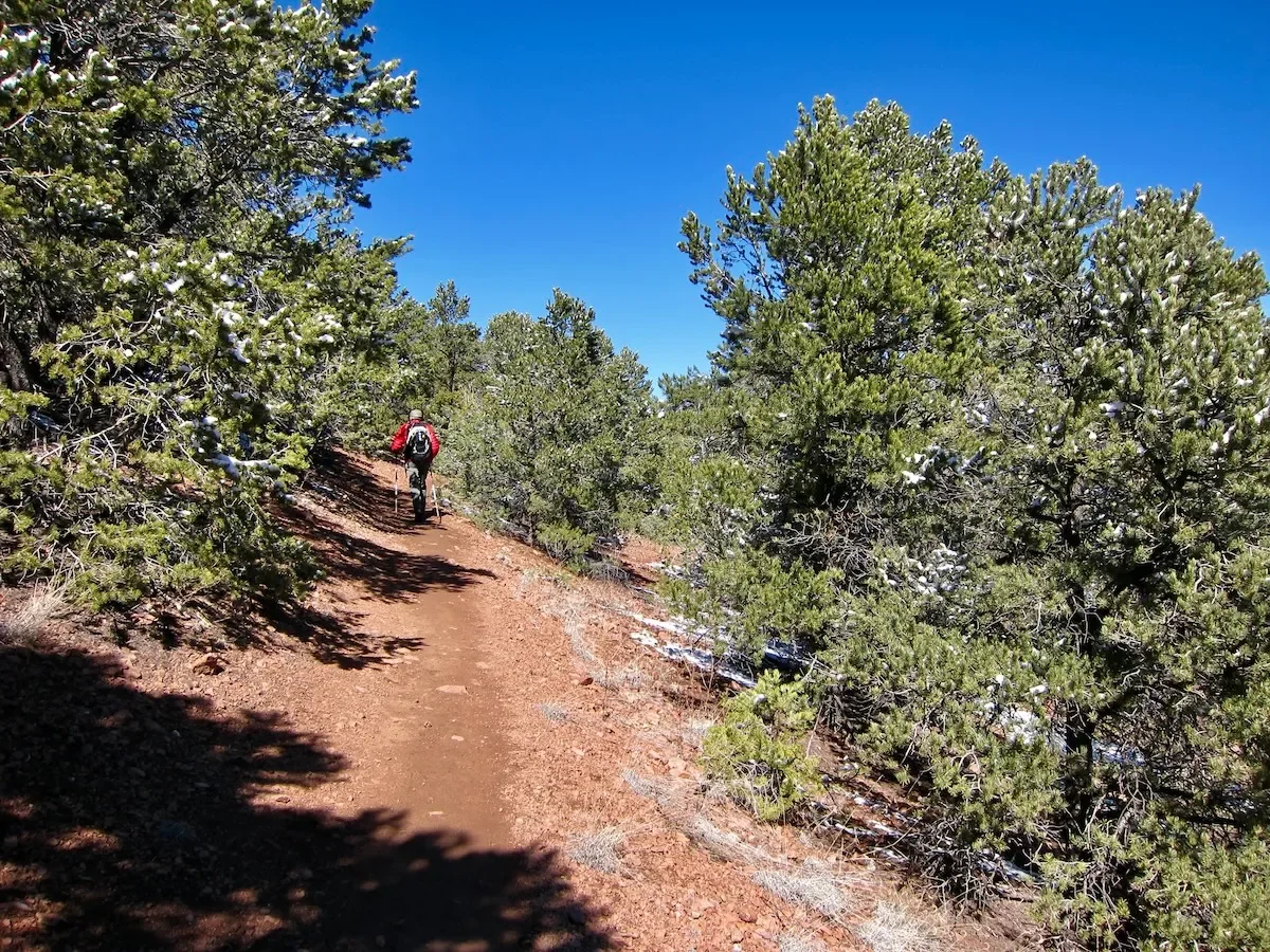 Featured image for New Mexico Reports First Human Plague Case of the Year