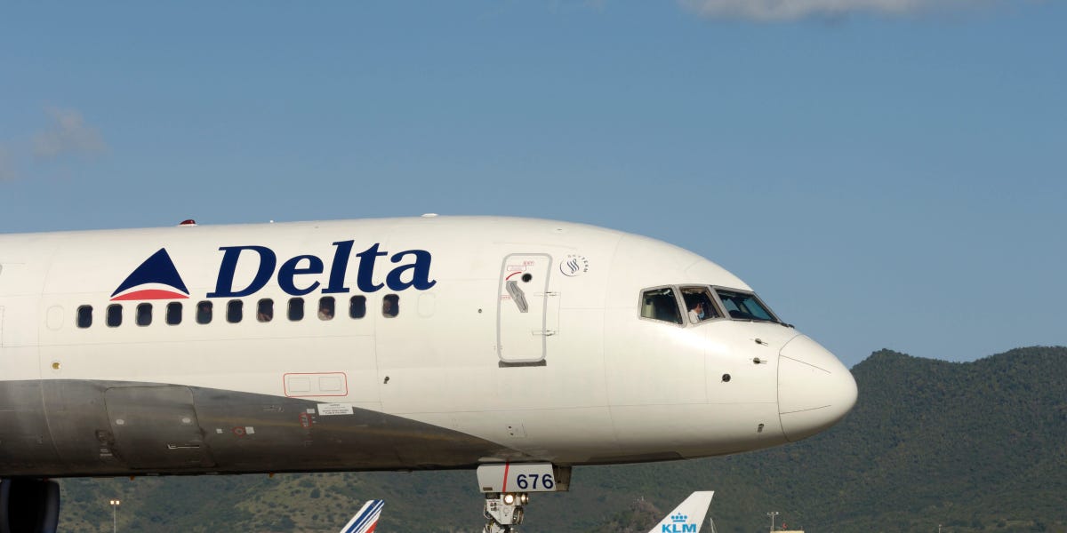 "Stowaway Removed from Delta Flight After Using Photos of Other Tickets"