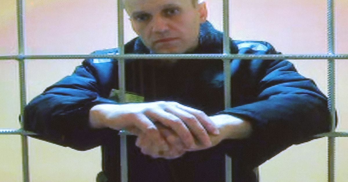 The Mysterious Illness of Russian Opposition Figure Alexey Navalny.
