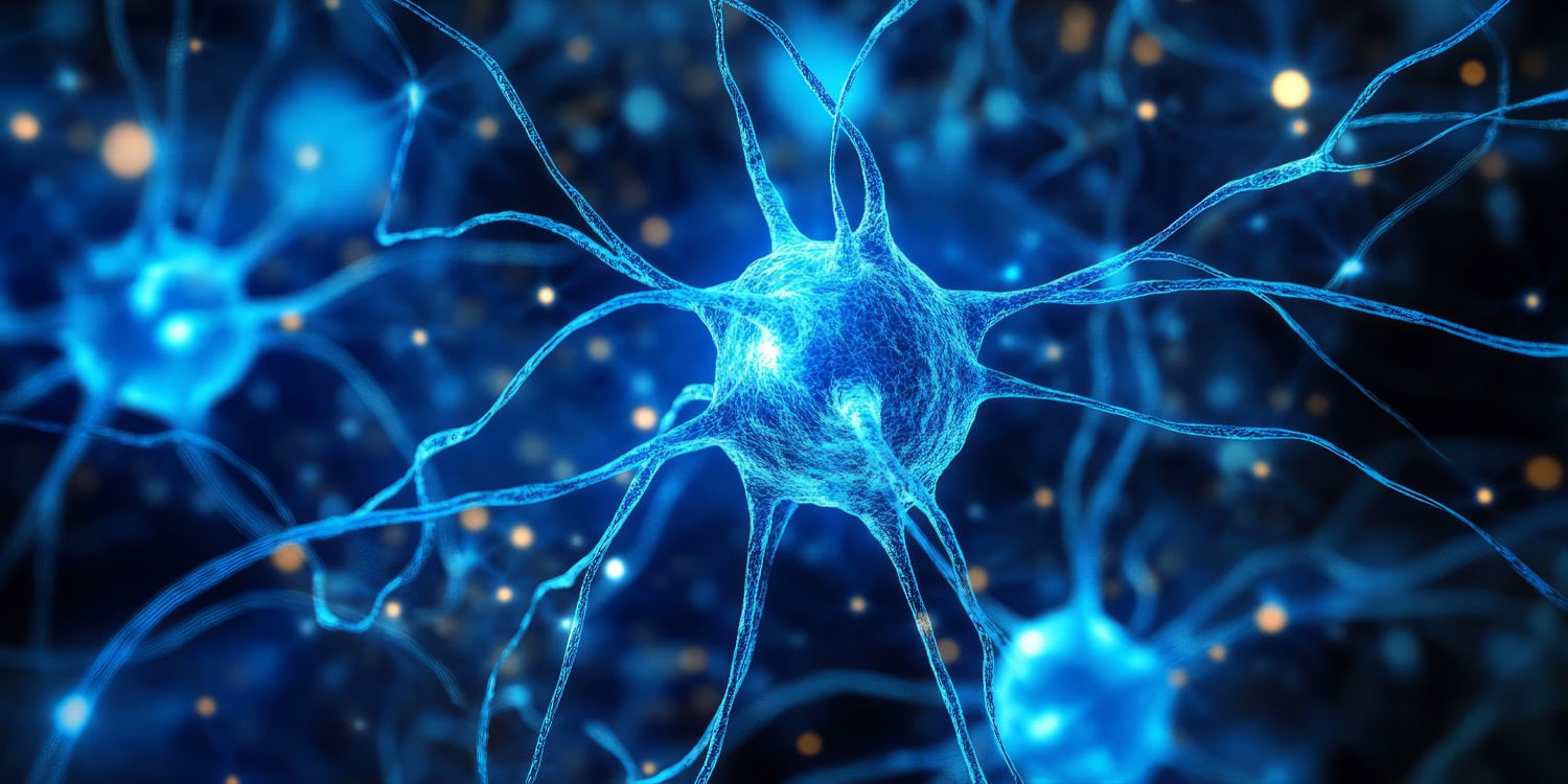 Featured image for Potential Link Between Neuronal Sugar and Alzheimer’s Uncovered