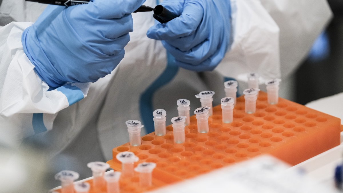 Featured image for Arcturus: The New COVID Variant of Concern