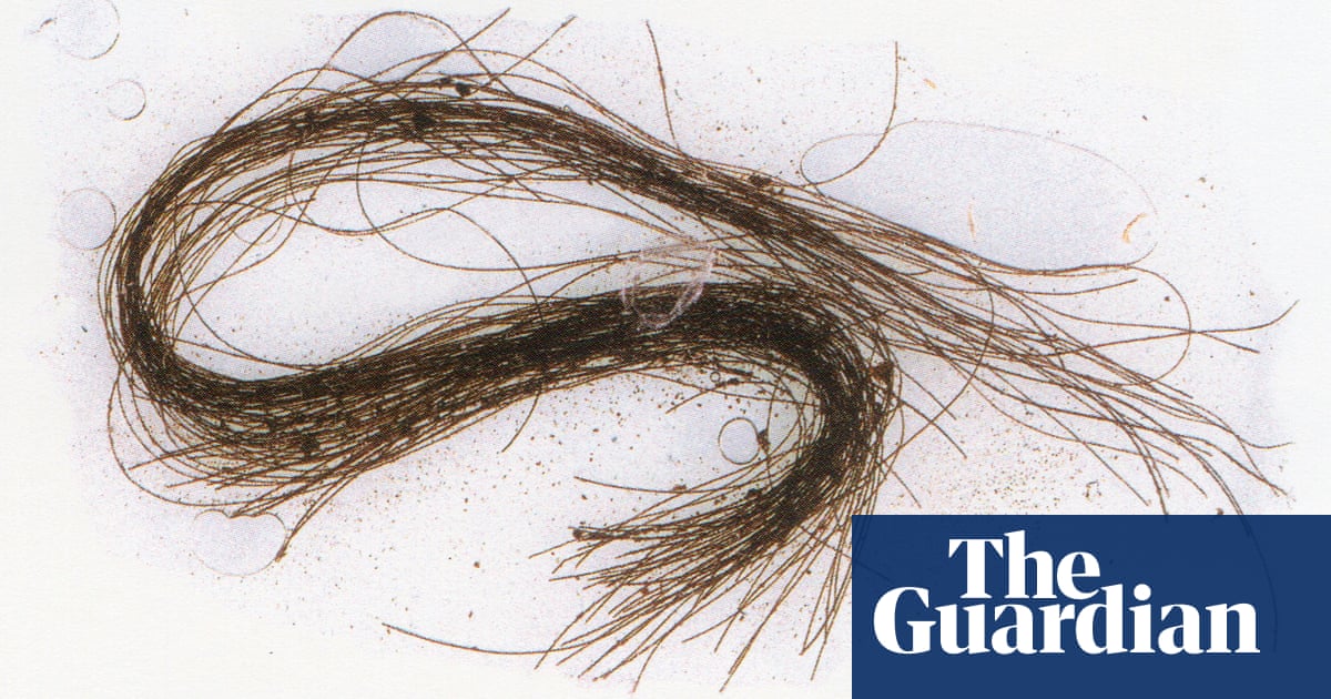 Featured image for Bronze-age shamans in Menorca used hallucinogenic drugs, study shows.