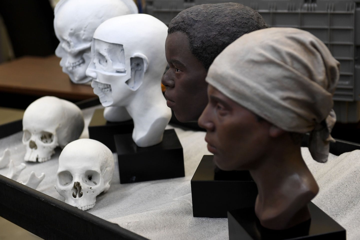 Featured image for "Unearthing Connections: Ancient African American Cemetery Unveils 41,000 DNA Links to New 'Relatives'"