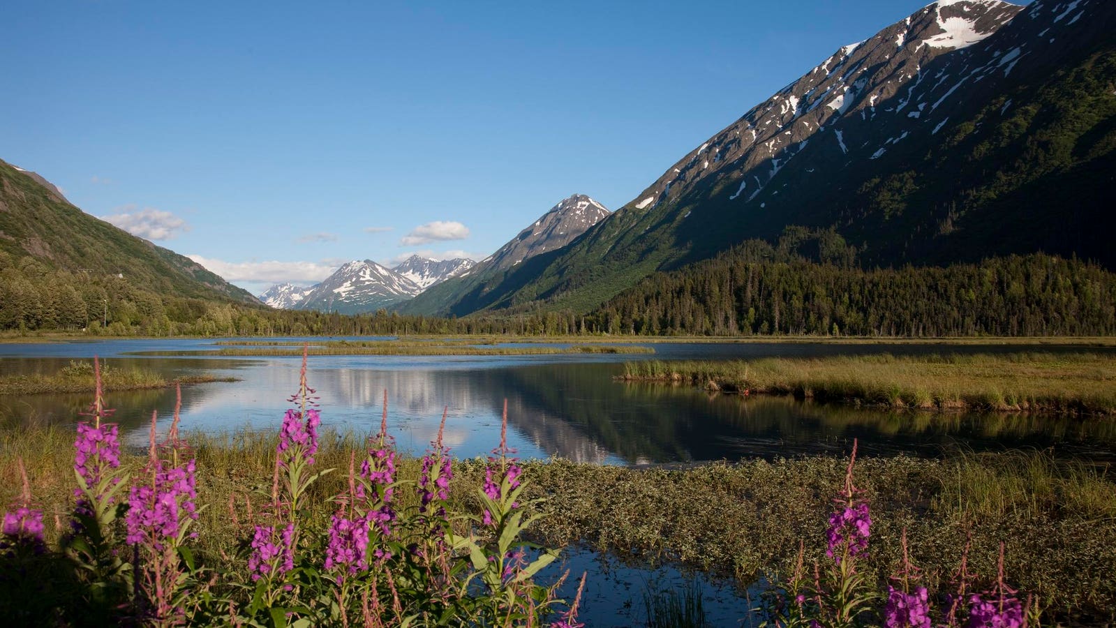 Featured image for "Understanding Alaskapox: Symptoms, Transmission, and First Fatal Case"