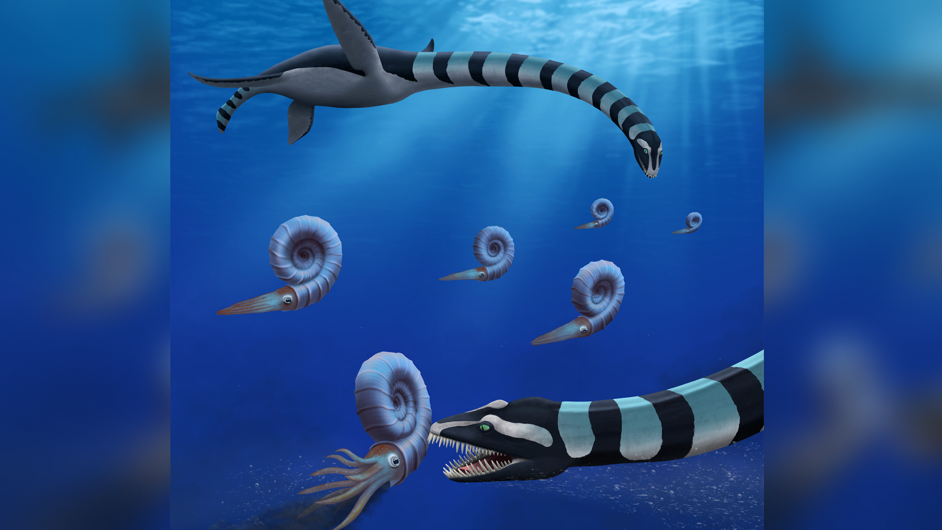 Featured image for Ancient 85-Million-Year-Old Sea Monster Identified as New Species