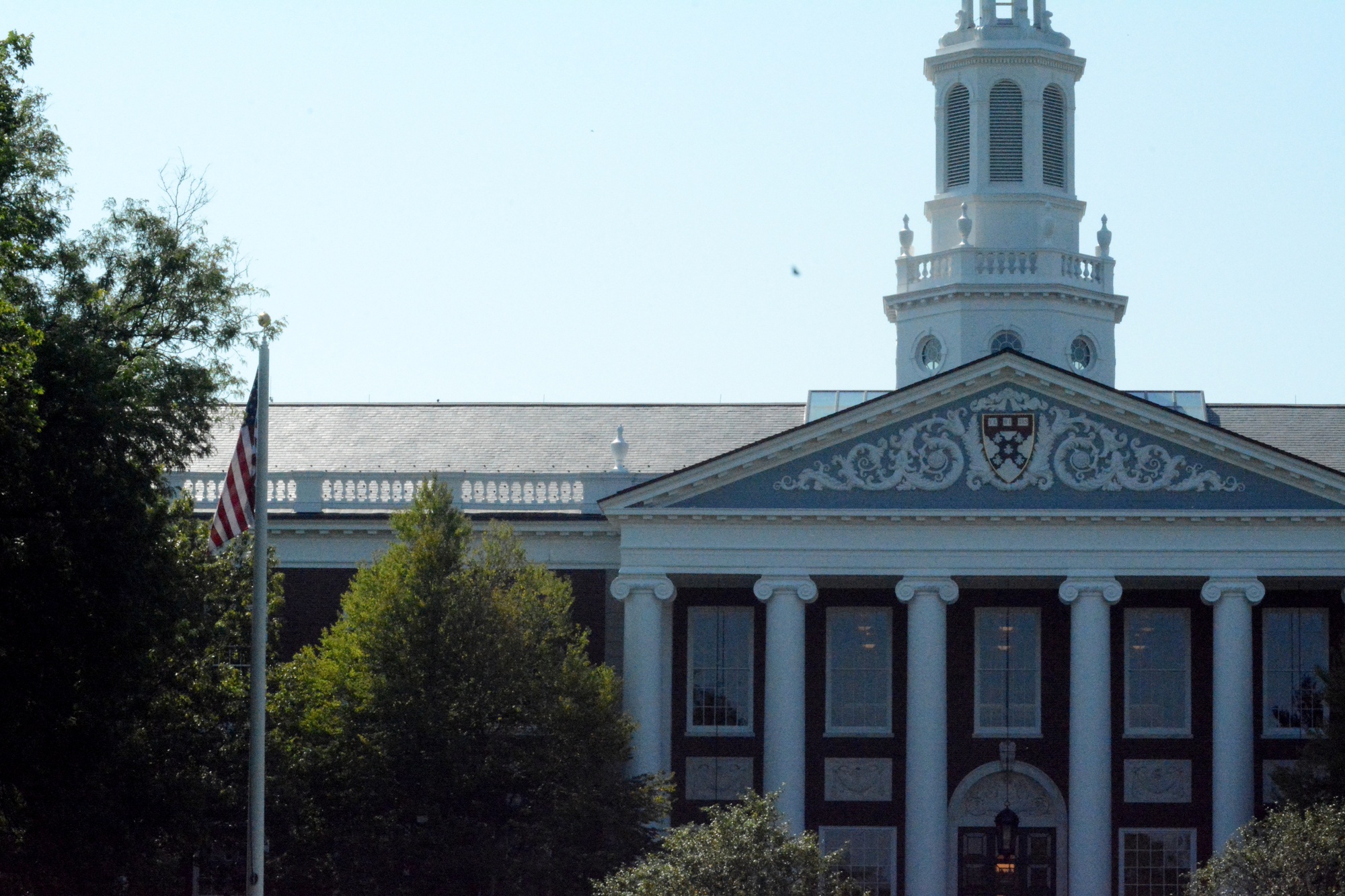 Featured image for Harvard Revokes Tenure from Professor Francesca Gino Over Data Fraud