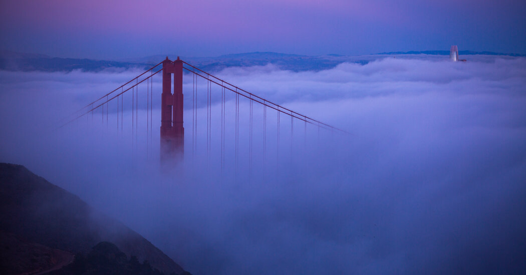 "Discovering the Love Californians Have for Their Home State"