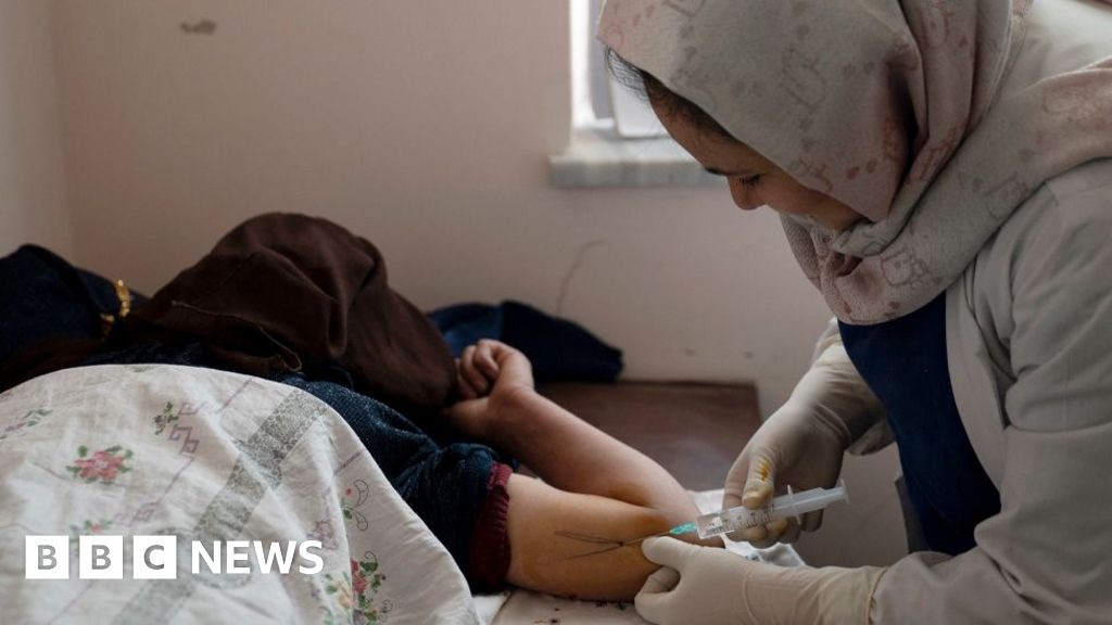 Taliban Halts Medical Education for Afghan Women