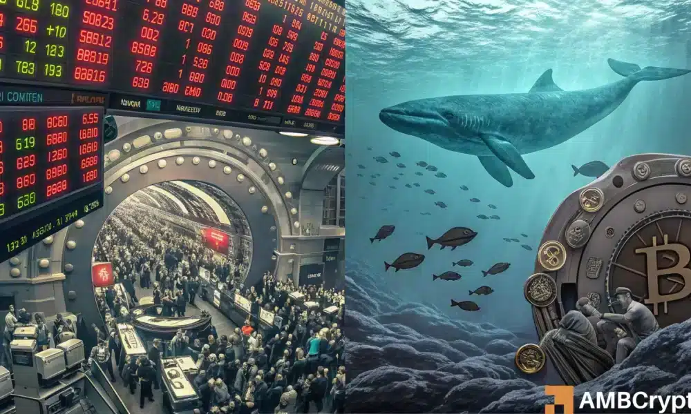 Featured image for Bitcoin Rally Gains Momentum as Retail Flocks In While Whales Remain Silent
