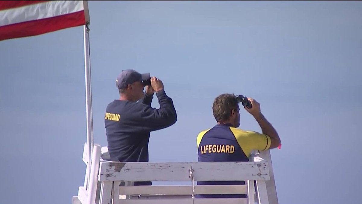 Featured image for Shark Attacks Surge in Long Island Waters