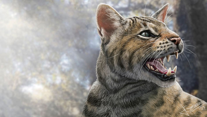 "Discovery of New Prehistoric Cat Species in Spain"