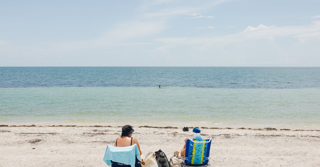 Featured image for "South Florida's Swimmers Face Deadly Marine Heat Wave Threatening Coral Reefs"