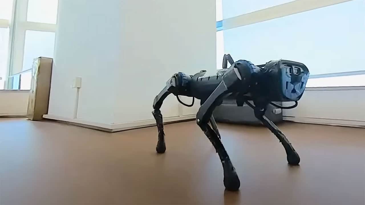 AI's Rapid Evolution: From Robotic Dogs to Alien-Looking Creations in Seconds
