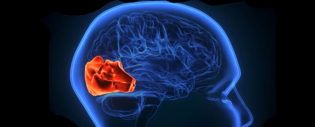 Sleep Apnea Alters Teen Brain Function.