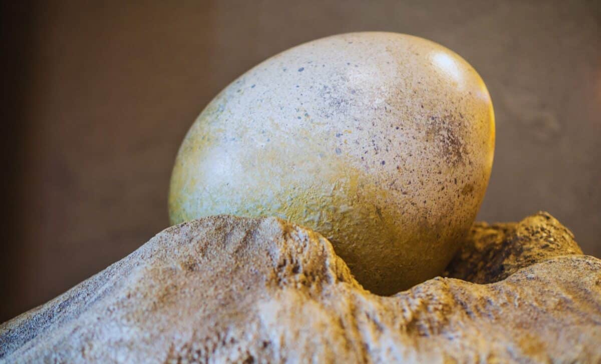 Featured image for Researchers Uncover Dinosaur Egg Mystery in Surprising Location
