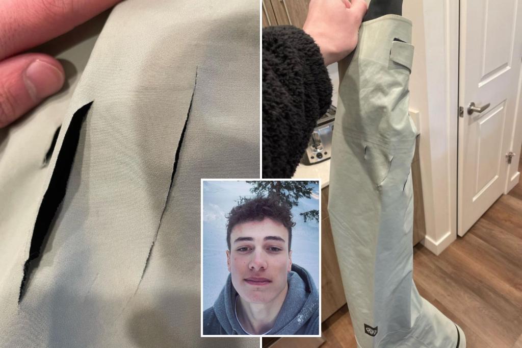 Featured image for Snowboarder Uses Board to Fight Off Mountain Lion at Utah Ski Resort