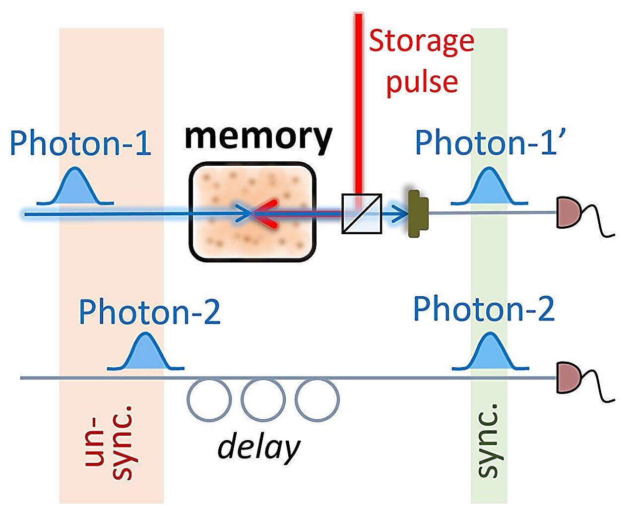 Featured image for "Breakthrough: Atomic Quantum Memory Enables Synchronization of Single Photons"