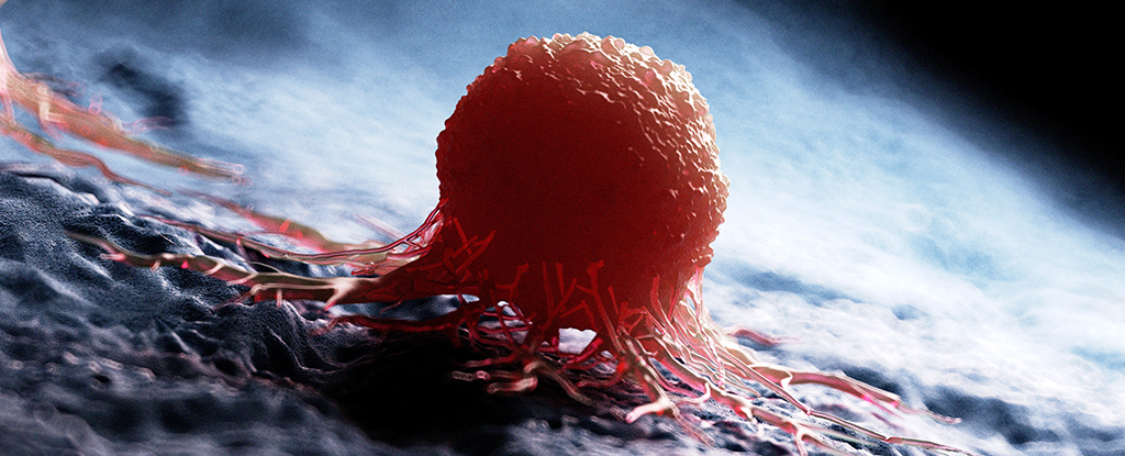 Featured image for Universal Cancer Vaccine Effectively Eliminates Resistant Tumors in Mice