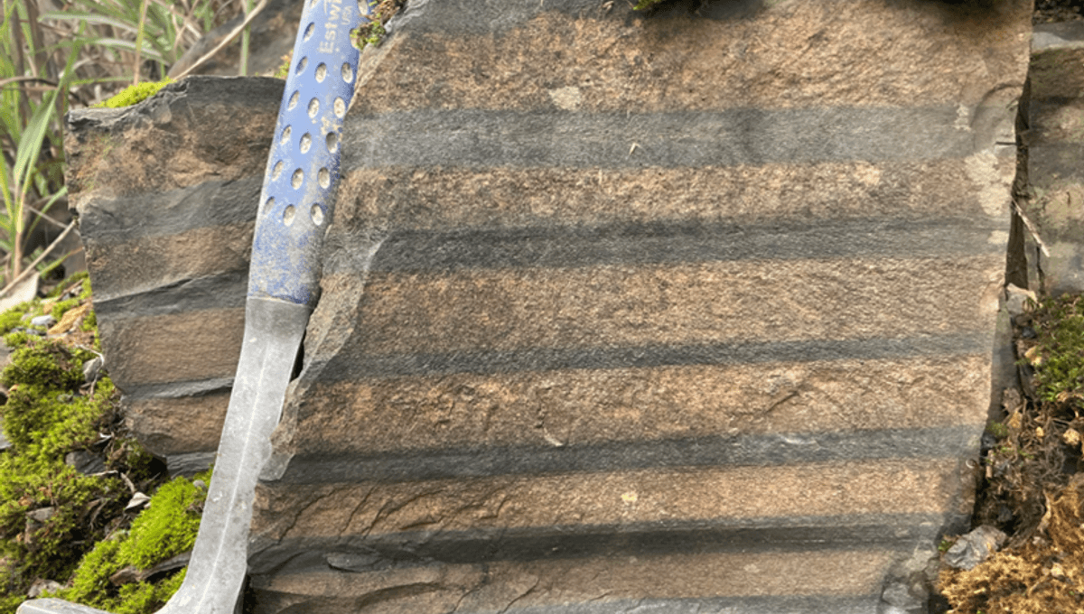 Featured image for Earth's Days Were Only 19 Hours Long for a Billion Years, Study Finds.