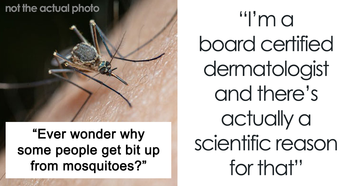 Featured image for Unveiling the Gross Reason Behind Mosquito Magnetism