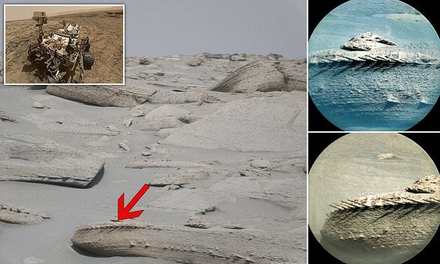 Featured image for NASA's Curiosity rover discovers bone-like structure on Mars