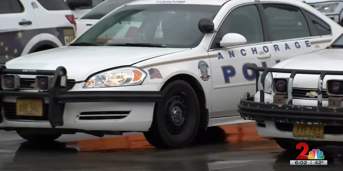 Featured image for Anchorage Assault Suspect Detained, More Charges Possible