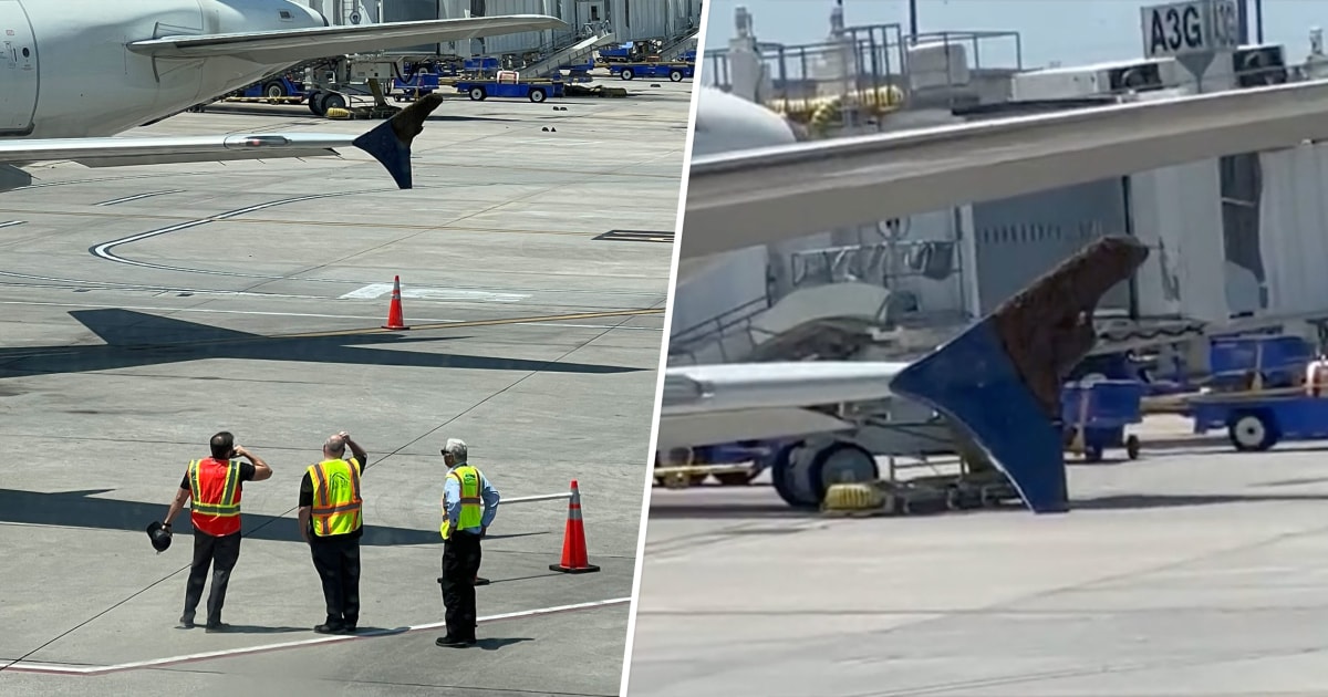 Bee Swarm Causes Flight Delay for Hours