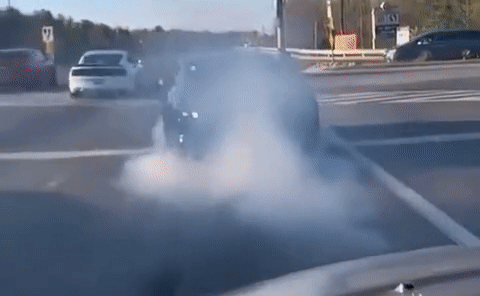 Epic Showdown: Mustangs Collide at Red Light