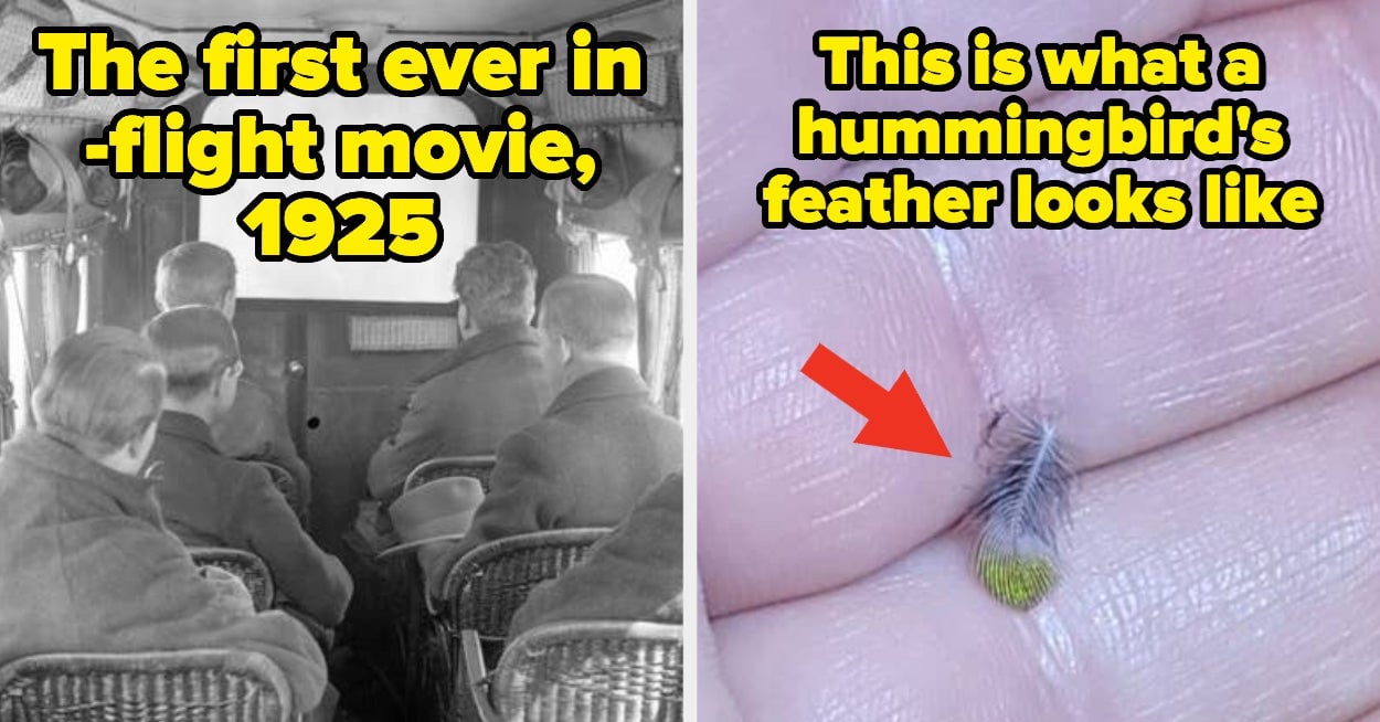 Featured image for "21 Captivating Internet Pictures That Will Leave You in Awe"