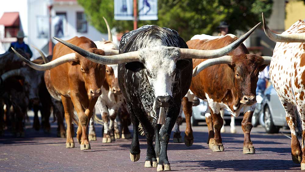 Featured image for Tech Stocks Plunge Despite Amazon's Earnings Jump