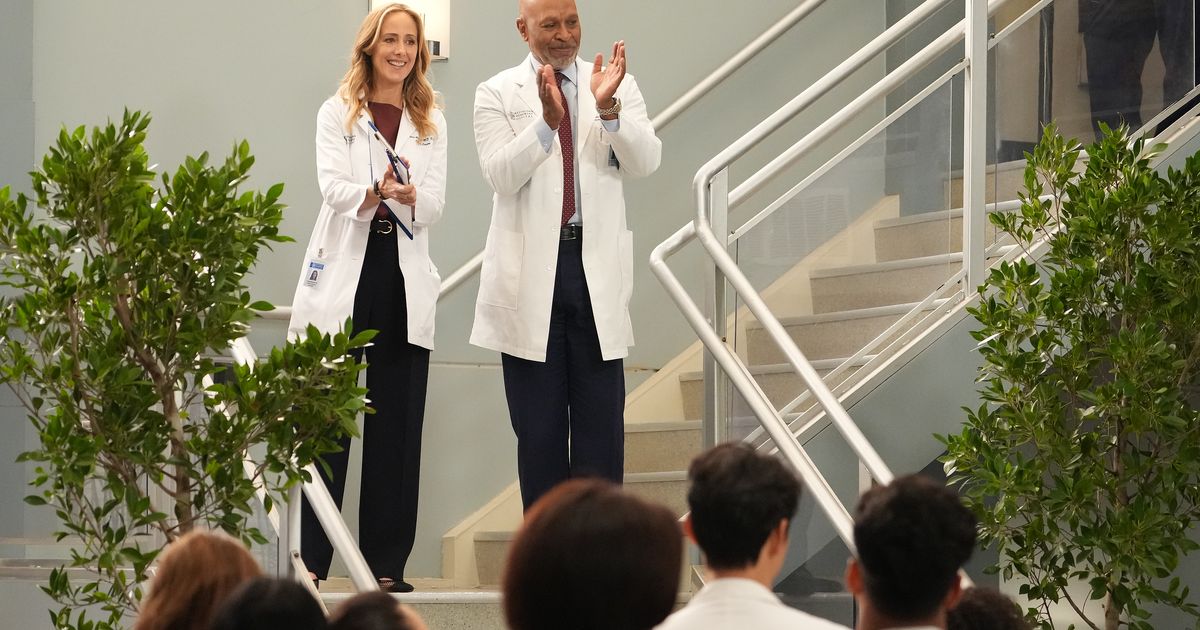 The Fate of Teddy: Grey's Anatomy Season 19 Finale Recap.