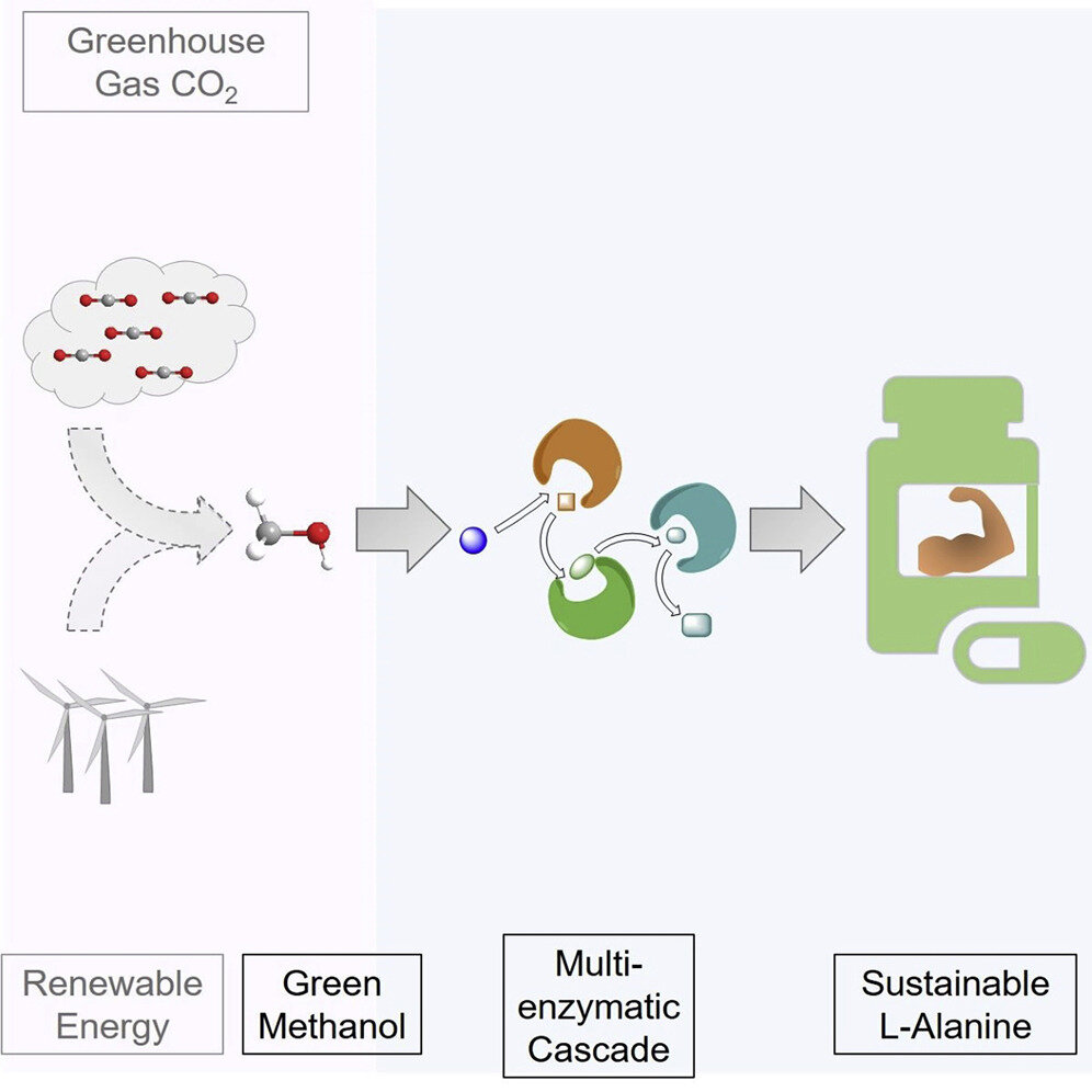 Featured image for "Greening Food Production with Artificial Photosynthesis"
