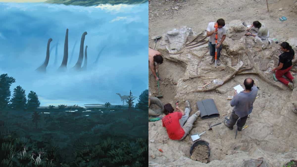 "Spanish Scientists Unearth Massive Long-Necked Dinosaur 'Titan' and Its Epic Footprints"