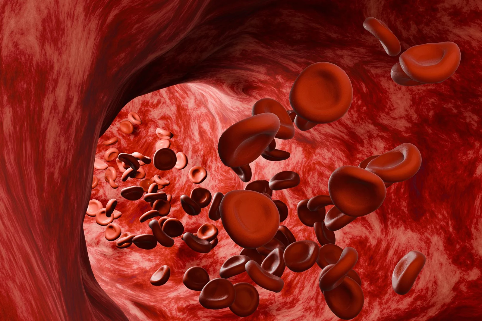 Extreme Endurance Running Might Accelerate Red Blood Cell Aging
