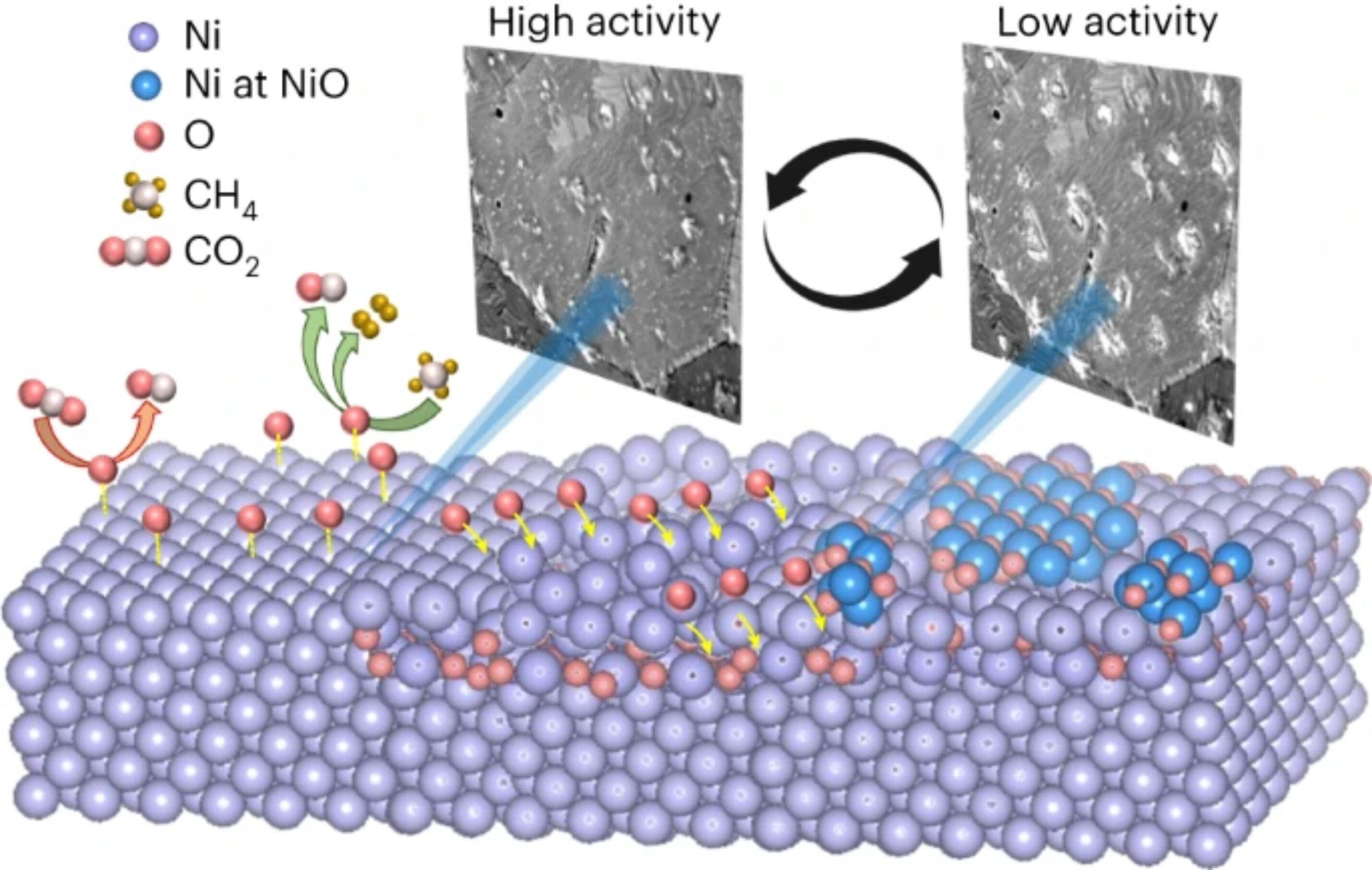 Featured image for "Oxygen's Impact on Nickel Catalysts in Methane Reforming"