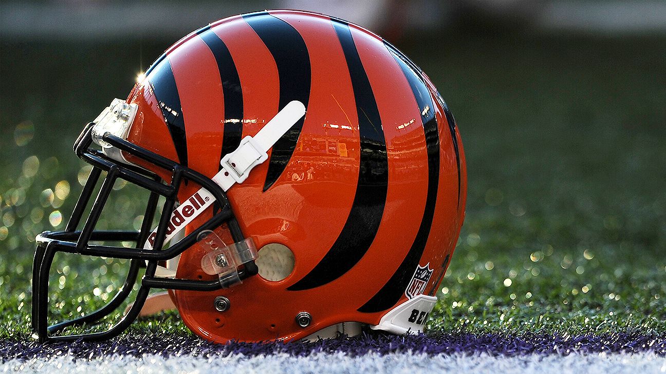 Featured image for Bengals push for annual Black Friday game hosting.