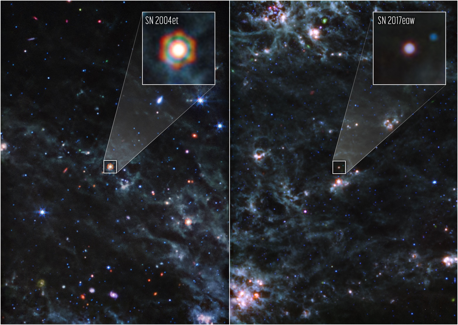 Supernovae: Dust Suppliers and Galaxy Builders, Webb Observations Reveal