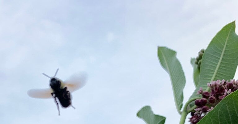 Featured image for "November 16-18, 2023 Spelling Bee Answers Revealed"