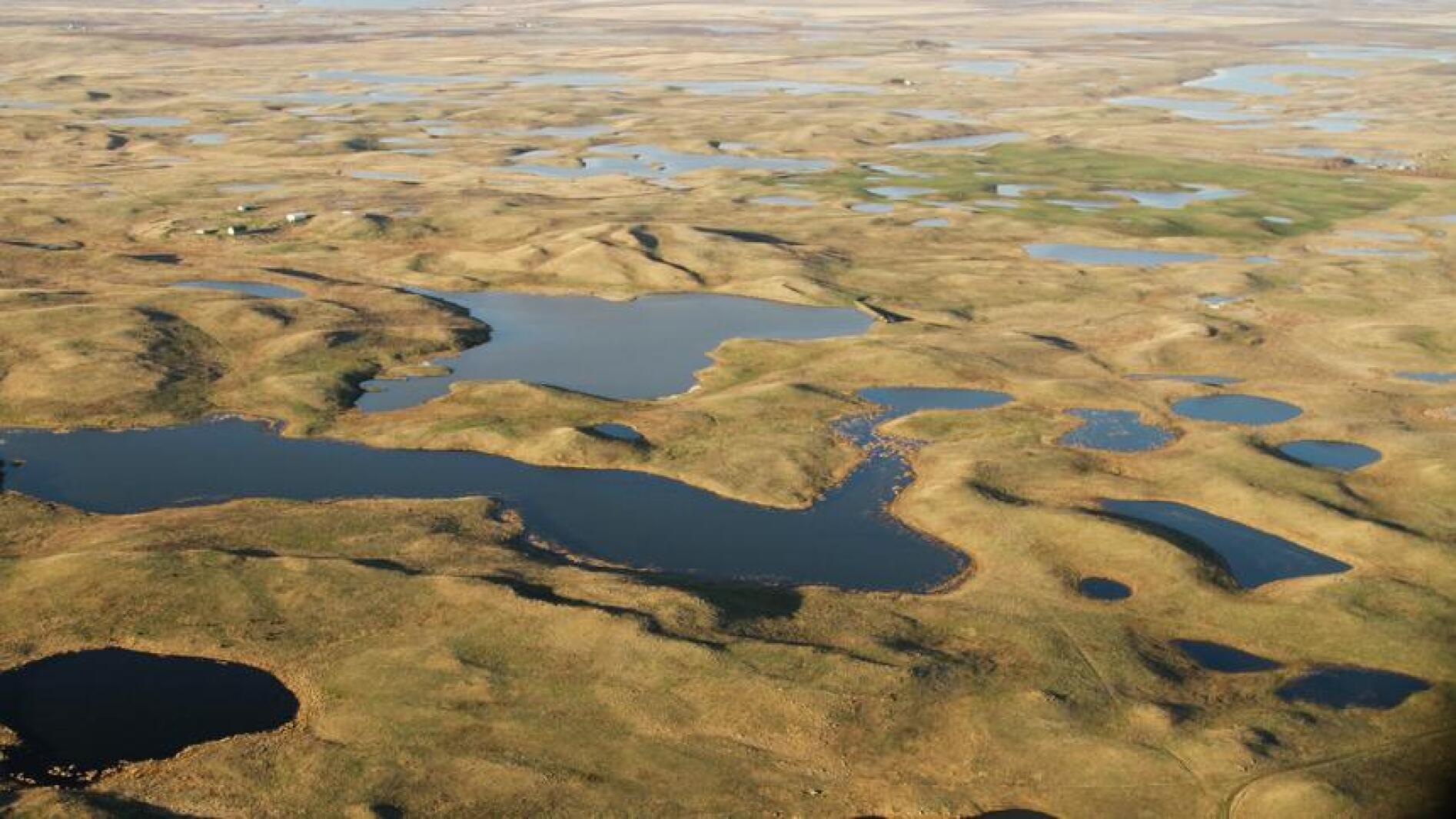 Federal Judge Halts WOTUS Rule in Multiple States to Protect Waterways.