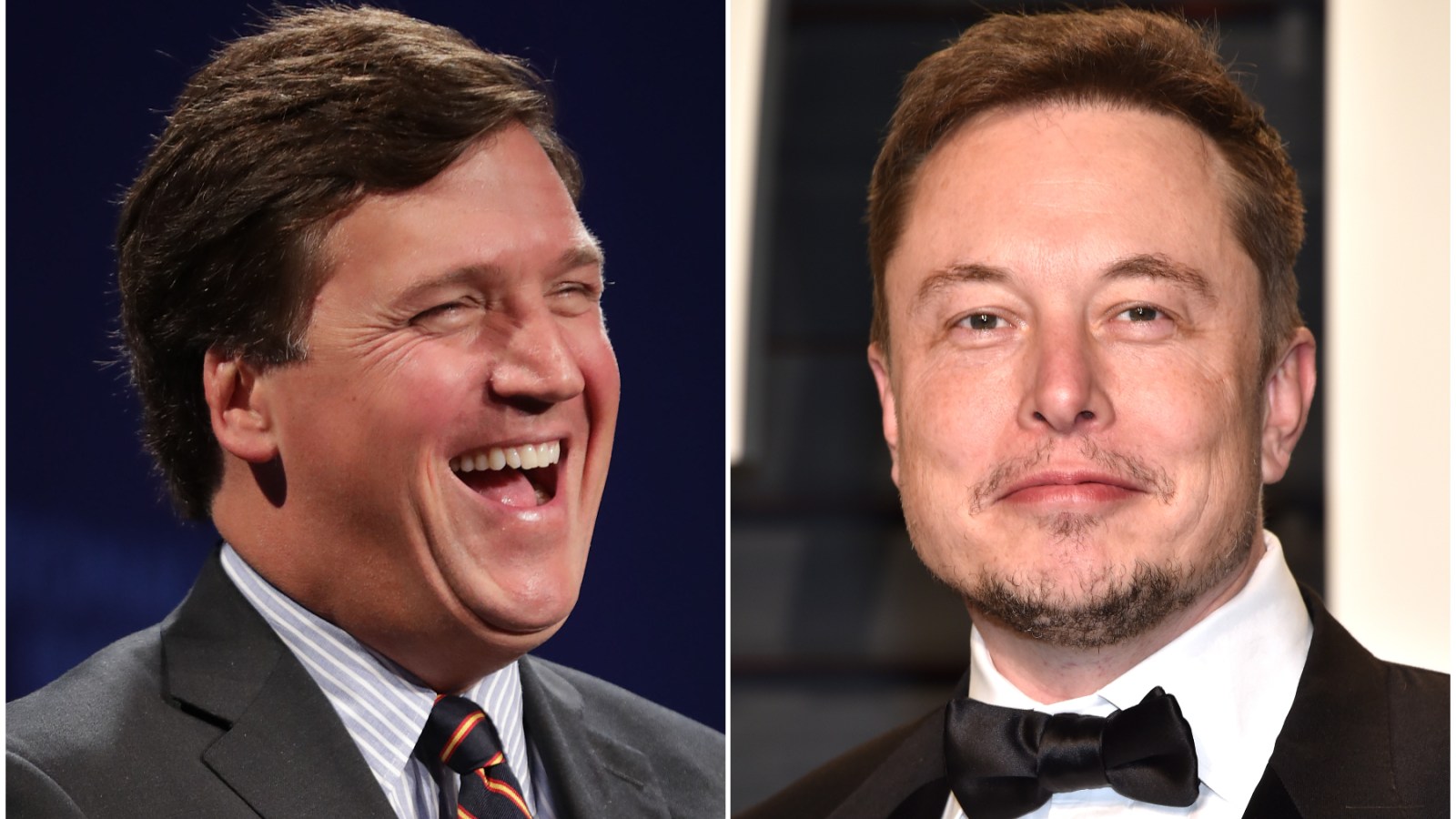 Elon Musk's Ambivalent Stance on AI and Tucker Carlson's Twitter Ignorance