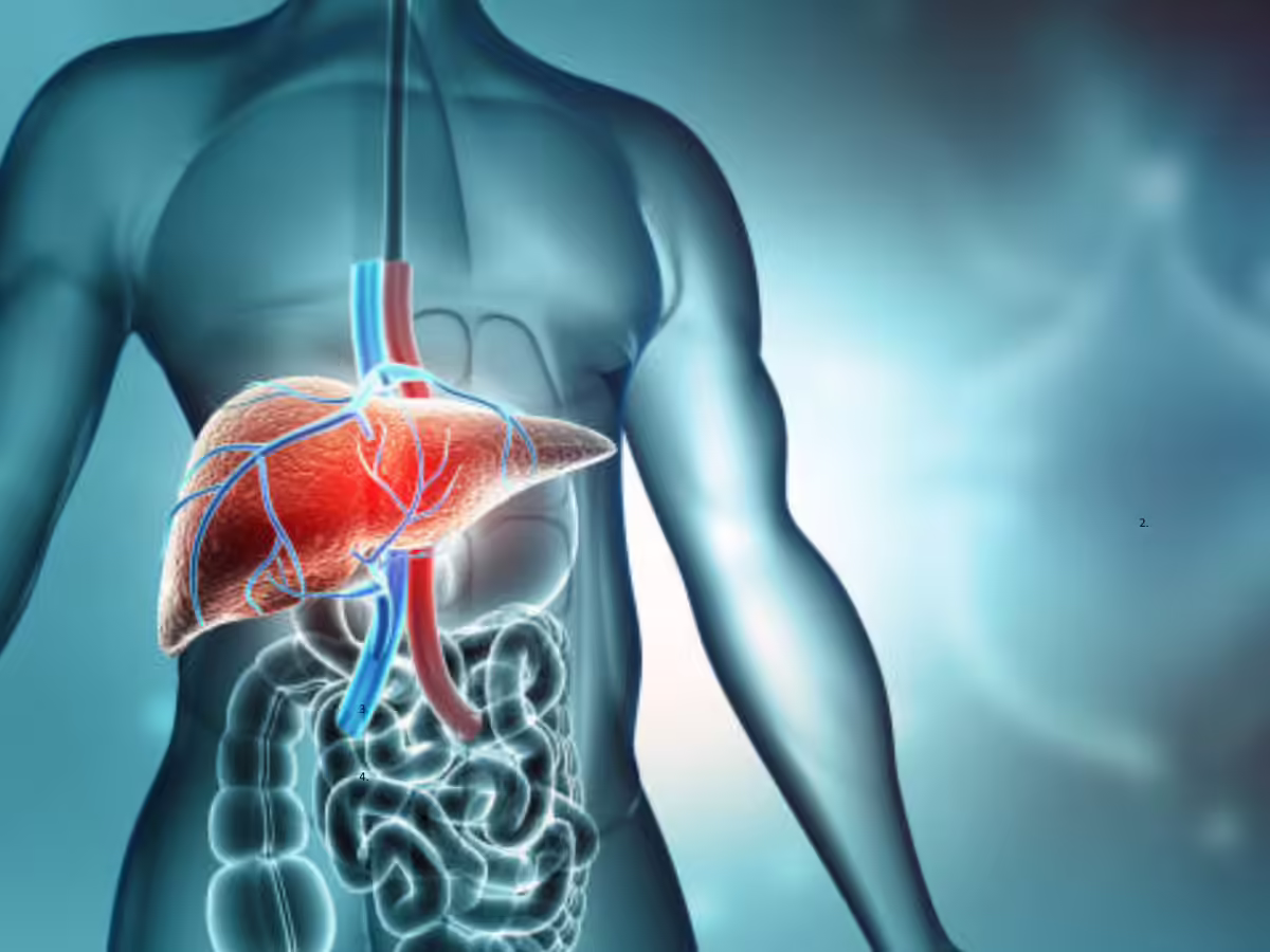 Featured image for Top foods for natural liver and gut health