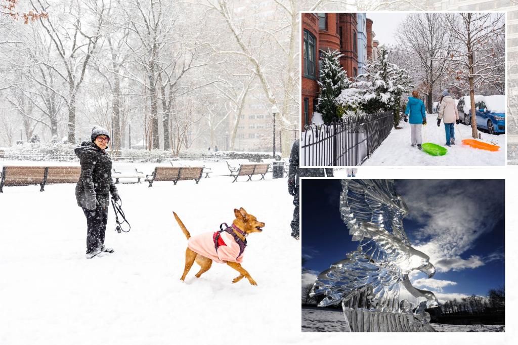 Featured image for "Deadly Arctic Chill Claims Dozens in US, MLGW Issues Boil Water Advisory"