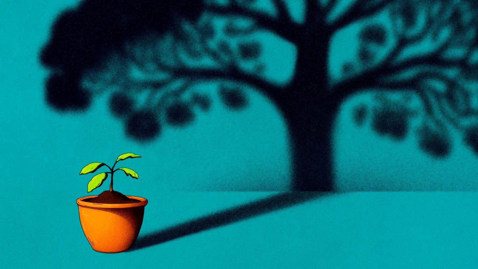 "Top Small-Cap Stocks for 2024: Growth and Value Picks"