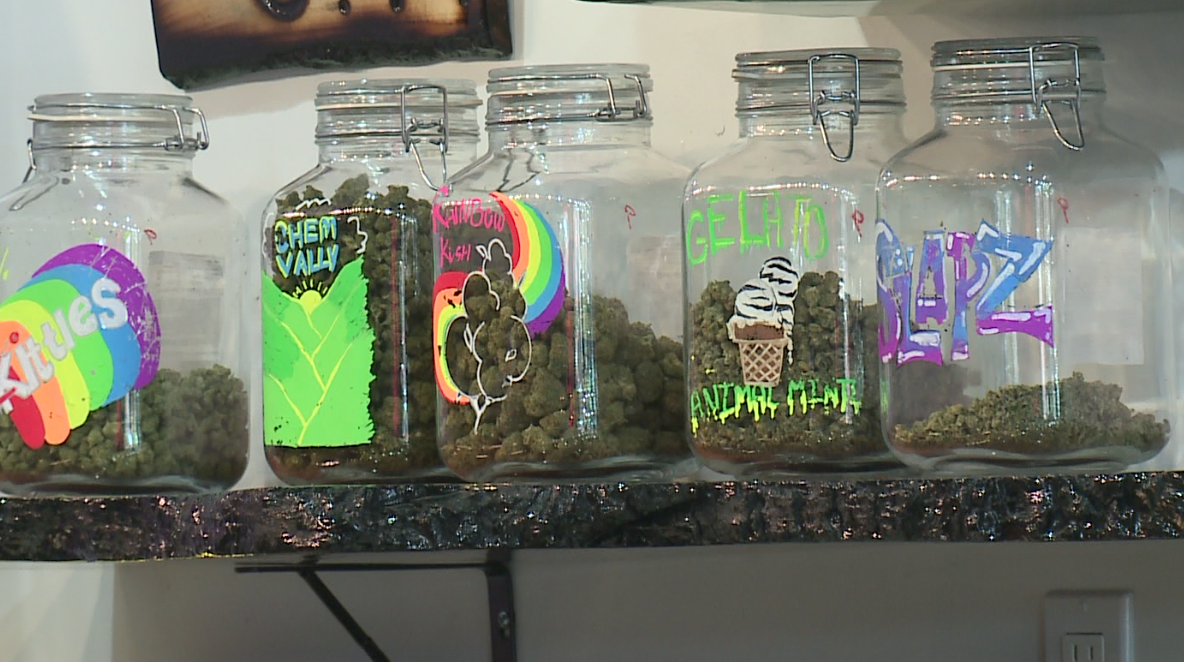 Expert Judges Sought for New Mexico's Statewide Cannabis Cup